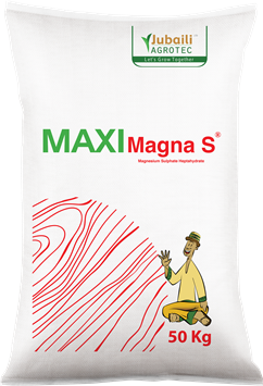 Maxi MagnaS.png